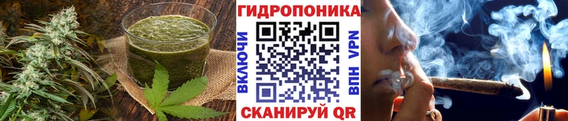 hydra tor  сколько стоит  Саки  shop формула  Печенье с ТГК конопля 