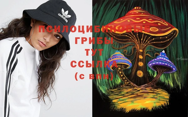 ALPHA PVP Арсеньев
