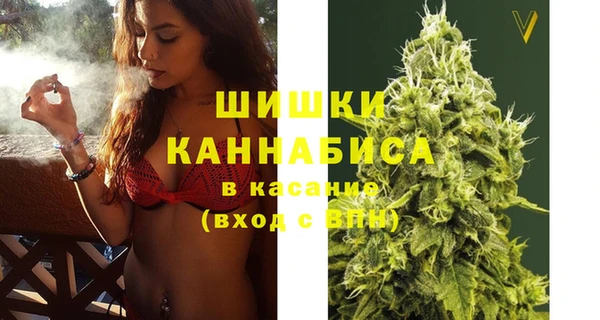 крисы Переславль-Залесский