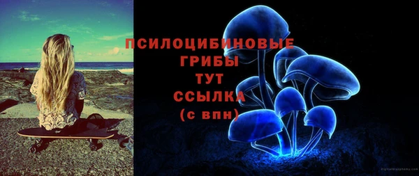 прущая мука Армянск